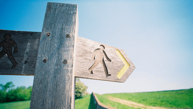 wellbeing strategy